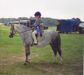 Daisy at breed show